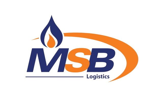 msblogistic.com.pk